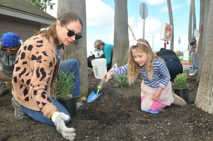 Ocean Friendly Garden Planting 38